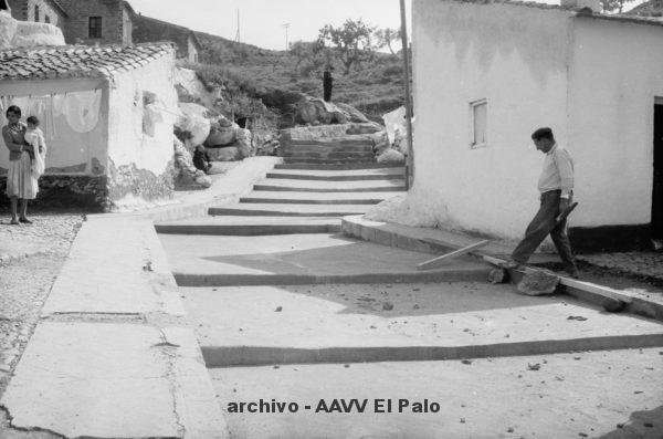 Lee más sobre el artículo UNA HISTORIA DEL ADN DE EL PALO