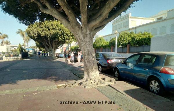 Lee más sobre el artículo La asociación de vecinos reclama el arreglo del paseo marítimo del Palo