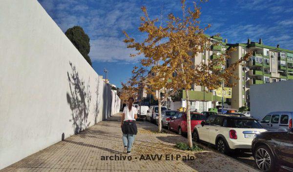 Lee más sobre el artículo Los árboles orientales de la calle Julio Gómez