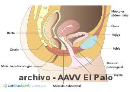 Lee más sobre el artículo «CUIDADOS DEL SUELO PELVICO FEMENINO»