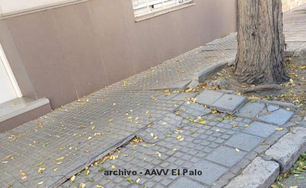 Lee más sobre el artículo Las raíces de los árboles rompen calzadas en la zona Este de Málaga