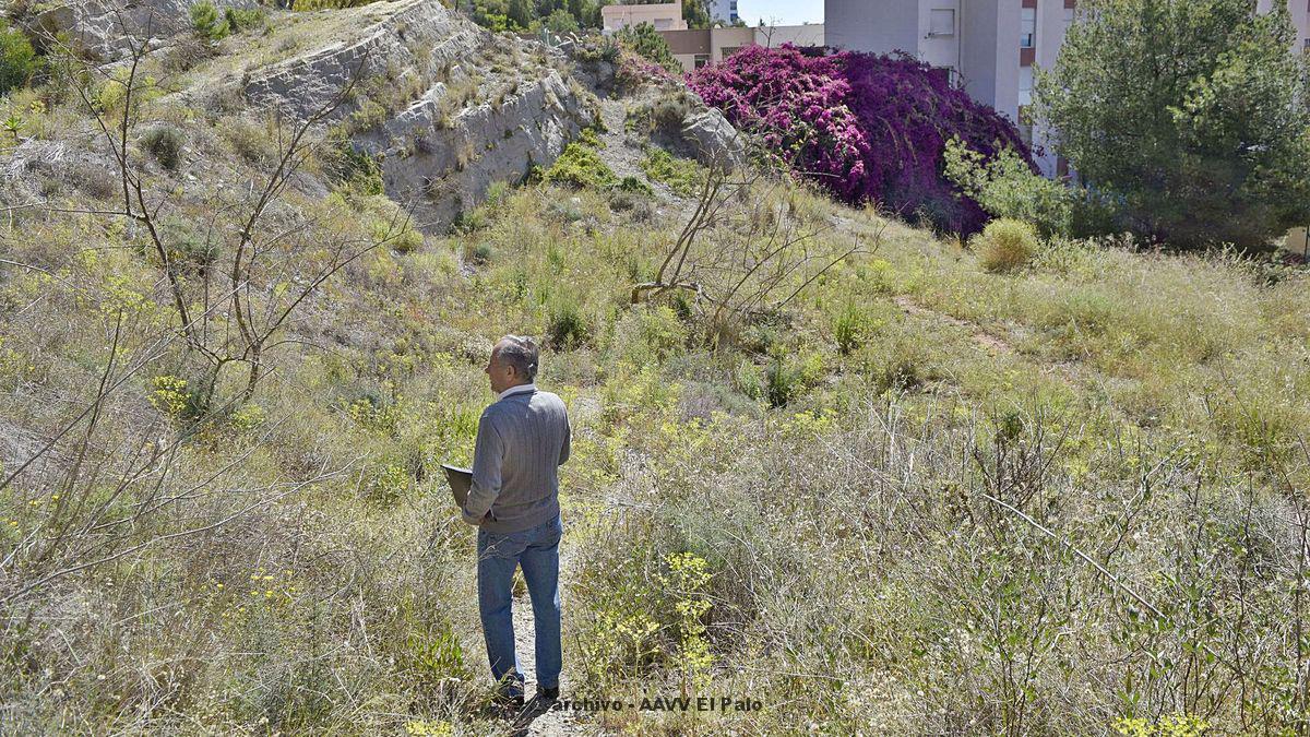 Lee más sobre el artículo El primer paso para una senda verde en Málaga Este